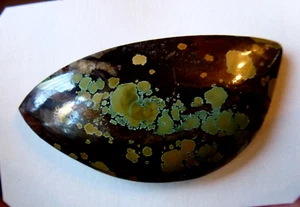 Natural Turquoise Cabochon  50 ct    A+++ - Picture 1 of 7