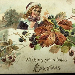Postal de Navidad antigua de Raphael Tuck & Sons hermosa niña bayas pájaro - Imagen 1 de 8