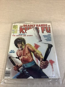 STAN LEE PRESENTS THE DEADLY HANDS OF KUNG FU #28 THE BRUCE LEE STORY - Picture 1 of 6