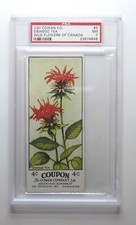 1924 V20 Cowan Co. Wild Flowers of Canada #4 Oswego Tea PSA 7