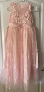 New Flower girl dress Pink Princess Size 120 (5-6 Years) - Picture 1 of 6