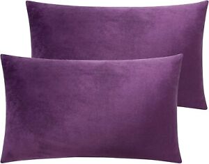 NTBAY 2 Pack Zippered Velvet King Pillowcases, Super Soft and Cozy Luxury Fuzzy 