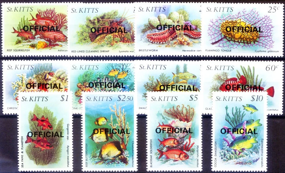 Servicio. Fauna. Peces 1984. Foto 1 de 1