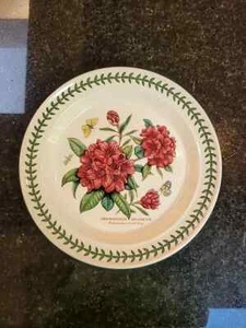 PORTMEIRION Botanischer Garten GWYLLT KING Rhododendron 10,5" TELLER Neu - Bild 1 von 1