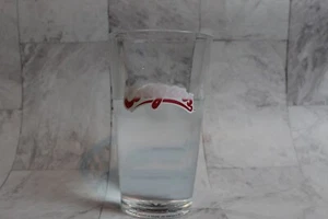 Color Changing! Washington State University WSU Cougars Vintage Logo Pint Glass - Picture 1 of 4