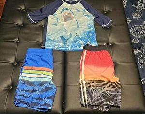 Boys Medium 8 Swim Trunks Euc - Picture 1 of 2