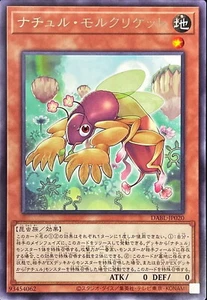 YuGiOh DABL-JP020 Naturia Mole Cricket Rare - Picture 1 of 2