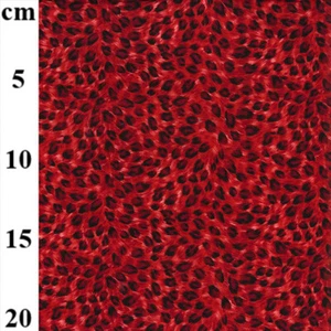 Tela con estampado de animales estampado rojo leopardo algodón material artesanal metro - Imagen 1 de 4