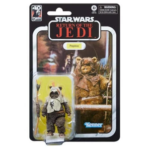 Paploo Ewok (Star Wars Black Series 40th Anniversary) - Picture 1 of 1