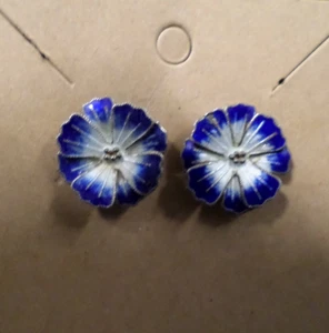 Orecchini in argento sterling smaltato - Foto 1 di 3