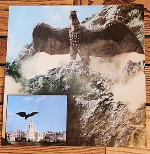 Impresión de póster de monstruo Rodan Godzilla 14,25 x 14,5" mercado de Japón ~ Ray Rohr - Imagen 1 de 9