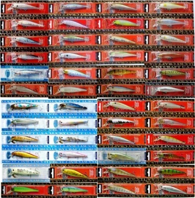 Lucky Craft Pointer 100 SP Japan Wobbler, Köder, Hecht, Raubfische, Angeln - Bild 1 von 3