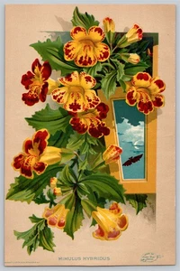 Impresión antigua botánica del catálogo vendedor de semillas Mimulus Hybridus - Imagen 1 de 3