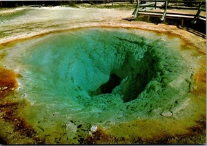 Postcard Yellowstone National Park Morning Glory Pool Upper Geyser Basin WY - Picture 1 of 3