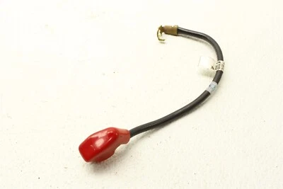 Cable terminal de batería Triumph Street 2018 doble  Foto 1 de 4