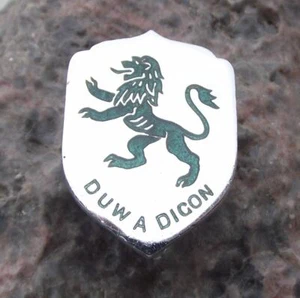Denbighshire Wales DUW A DIGON With God Enough Black Lion Formal Buttonhole - Picture 1 of 2