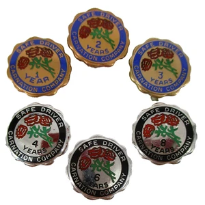 Vintage Carnation Dairy Milk Employee Service Award Lot Hat Lapel Pin - Picture 1 of 5