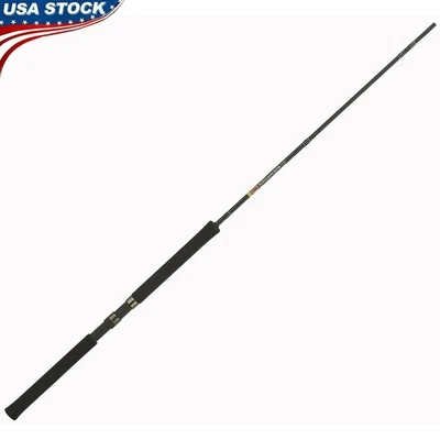 Graphite Jig Pole 10ft 2pc Fishing Rod Lightweight High Sensitivity Crappie Rod - Image 1 of 4