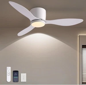 eiling Fans with Lights,42 Inch Low Profile Ceiling Fan with Wall - Picture 1 of 3