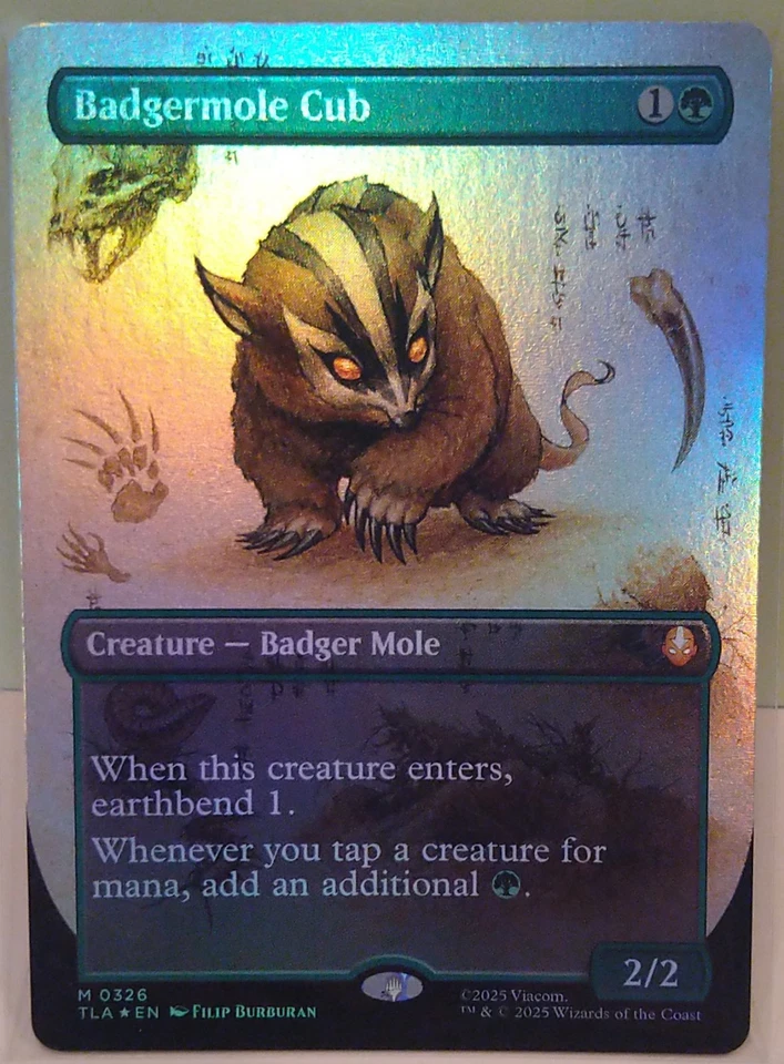 MTG - Avatar TLA - Badgermole Cub *Borderless Foil* - Bild 1 von 1