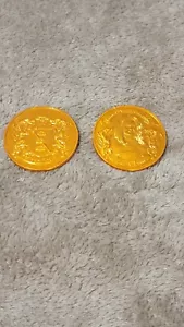2023 Mardi Gras Krewe Of Excalibur Orange Doubloon Maid Luna - Picture 1 of 1