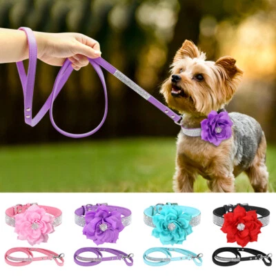 Gloss Bling Rhinestone Diamante Dog Collar Lead Leash Soft Suede Pet Chihuahua - image 1 of 4