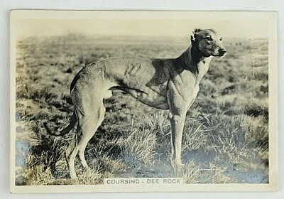 1935 Pattreiouex Sporting Events and Stars #47 Coursing - DEE ROCK (A) - Image 1 of 2