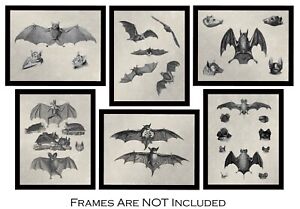 Bat Decor - Gothic Witchy Gifts Creepy Vampire 6 (8x10) Goth Wall Decorations