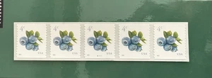 Scott# 5653 4c Blueberries MNH B1111 PNC5 back # on 5th stamp APS lifetime Memb - Picture 1 of 1