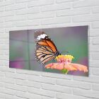 Tulup Glasbilder 140x70 Wandkunst Bunter Schmetterling Blume