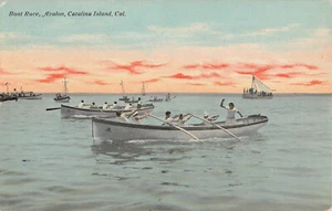 Vintage Boat Race Avalon Catalina Island California Sailing Postcard - Picture 1 of 2