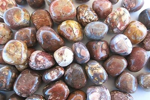 1x Birds Eye Rhyolite Tumbled Stone 20-25mm Reiki Healing Crystals Creativity - Picture 1 of 5