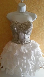 SAMPLE / Sheer Jewel Boned White Silver Corset Tutu Burlesque Wedding Dress - Picture 1 of 11