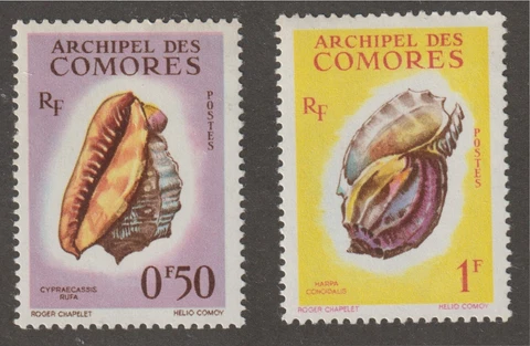 Comoro Islands 1962 #48-49 Sea Shells - MNH Cover
