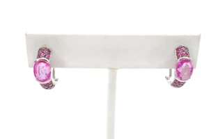 14k White Gold Ruby Leverback Earrings - Picture 1 of 9