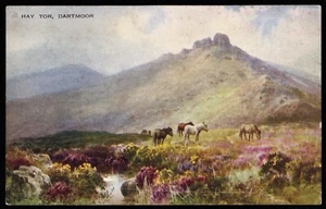 Hay Tor Wild Ponies Dartmoor Devon Valentine Postcard - Picture 1 of 2
