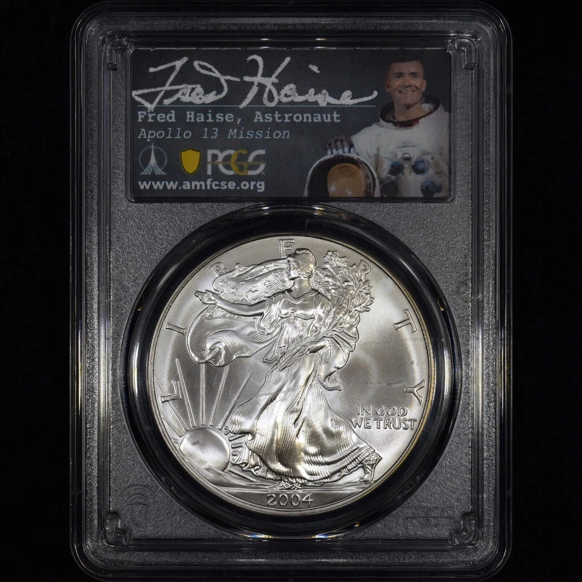 2004 American Eagle MS 70 Graded Silver Bullion Coins for sale | eBay