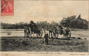 PC TRINIDAD, CARTING PITCH FROM THE LAKE, LA BREA, Vintage Postcard (b44166) - Bild 1 von 2