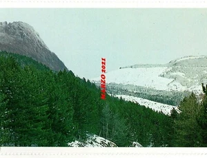 MONTI DELLA VERNA CHIUSI PAESAGGIO INNEVATO AREZZO TOSCANA 26 CASENTINO 1983 - Foto 1 di 1