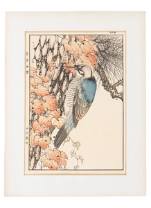Keinen Imao (Japanese 1845-1924) Colorful Woodblock Print 1892 Bird Signed - Picture 1 of 9