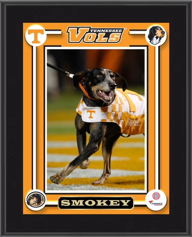 Volunteers Smokey Dog Mascot 10.5x13 Plaque - Fanatics Authentic Cover
