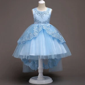 Embroidery Lace Tulle Girls Princess Dress Kids Birthday Party Wedding Prom Gown - Picture 1 of 29