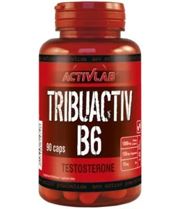 TRIBUACTIV B6 TRIBULUS, Zink Magnesium Vit. B6 Testosteron Booster Pillen - Bild 1 von 1