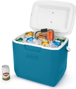 ICE COOLER 30 Quart Portable 25 Can with Handle - Picture 1 of 7