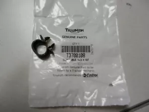 Clip de cable NOS Triumph 14,3x10 2002-2020 América 2001-2022 Bonneville T3700108 - Imagen 1 de 5