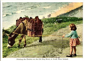 Tarjeta postal Minding the Donkey Old Bog Rd South West Ireland a42 - Imagen 1 de 2