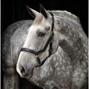 HORSEWARE RAMBO MICKLEM HEADCOLLAR LEATHER HALTER ELASTICATED HEADCOLLAR - Picture 1 of 1