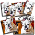 FUNNY WHITE ENGLISH BULLDOG CUTE DOG LIGHT SWITCH OUTLET WALL PLATE PET SHOP ART