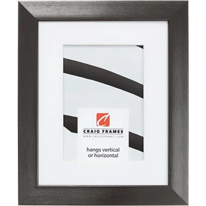 Craig Frames Modern Aesthetics 125, 1.25" Charcoal Gray Picture Frame With a Mat - Picture 1 of 10