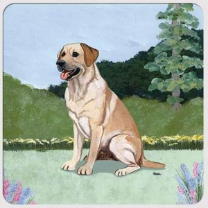 Yellow Labrador Coasters - Set of 4 - Picture 1 of 1